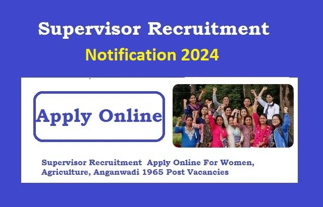 Supervisor Recruitment 2024