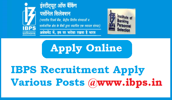 IBPS Recruitment Apply Online